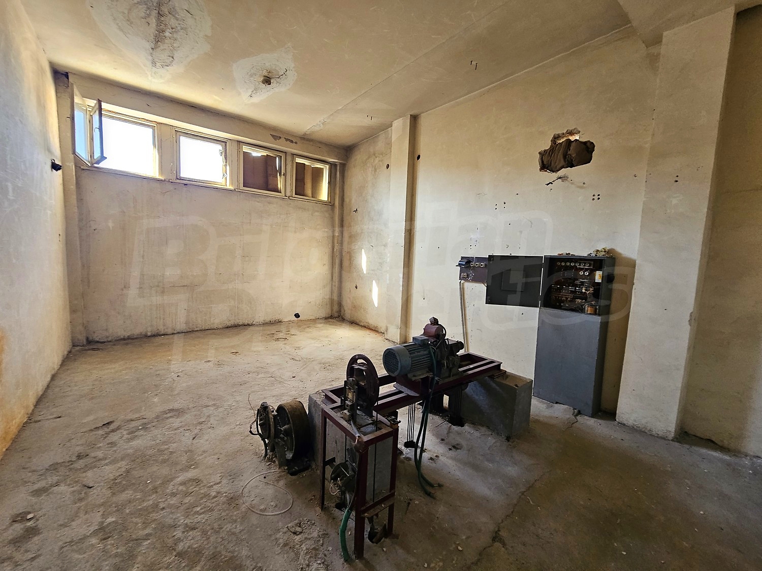 Gallery Picture 16