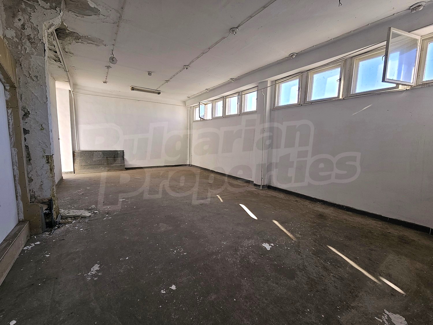 Gallery Picture 17