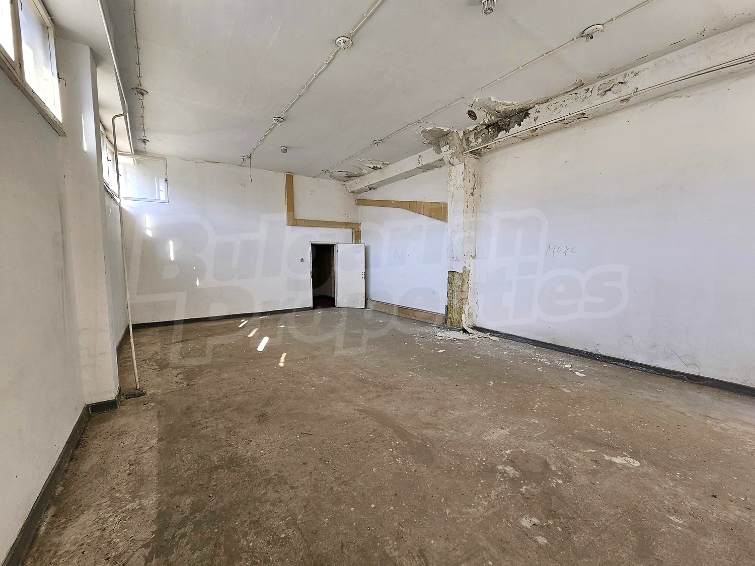 Gallery Picture 31