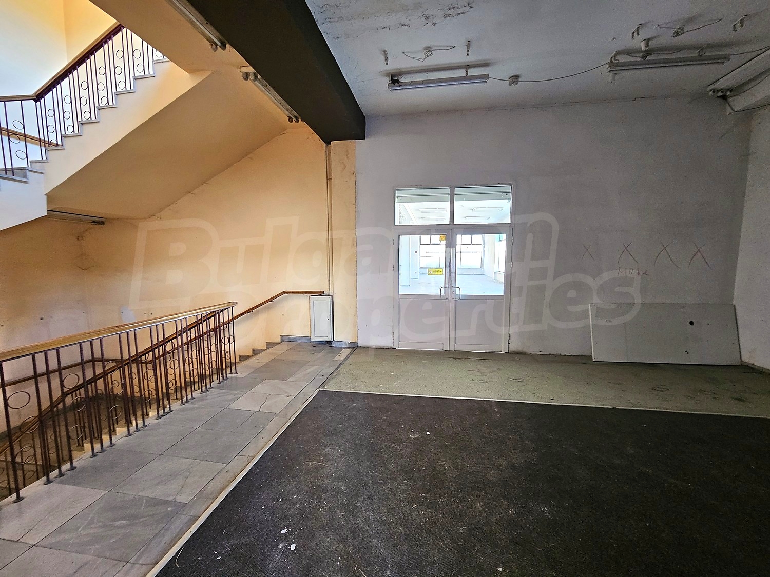 Gallery Picture 34