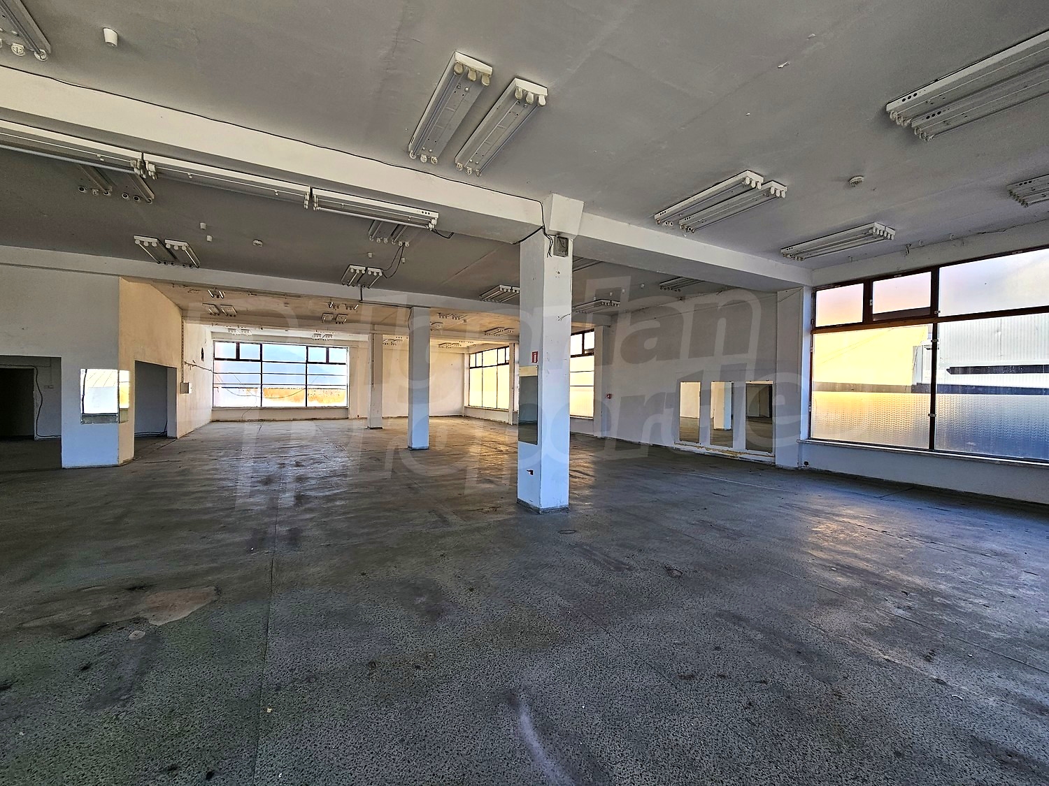 Gallery Picture 10