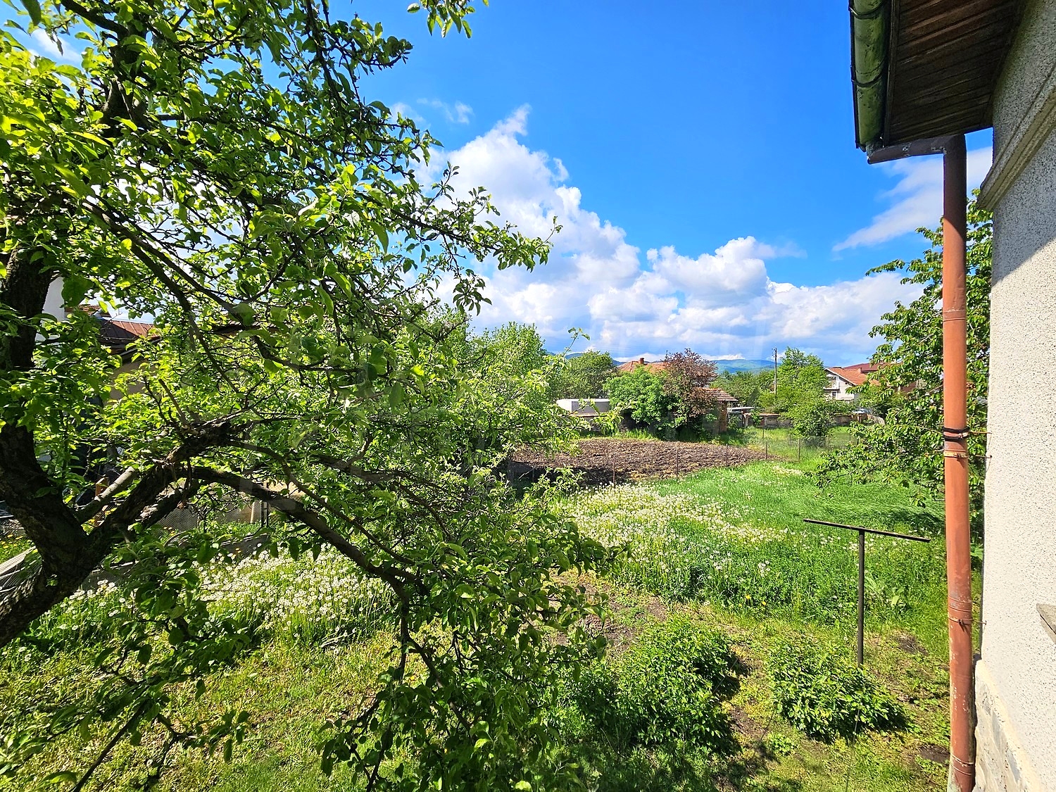 outside, garden, green area