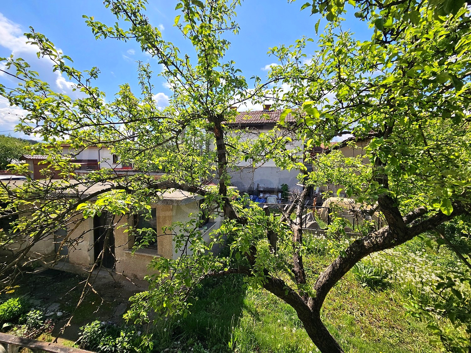 outside, garden