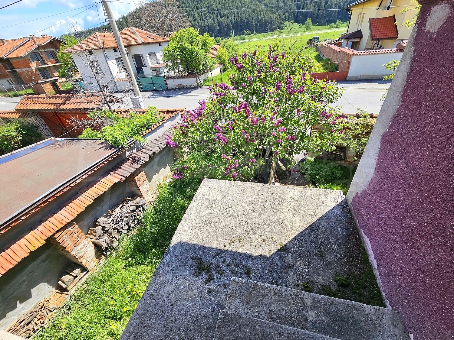 outside, garden, green area