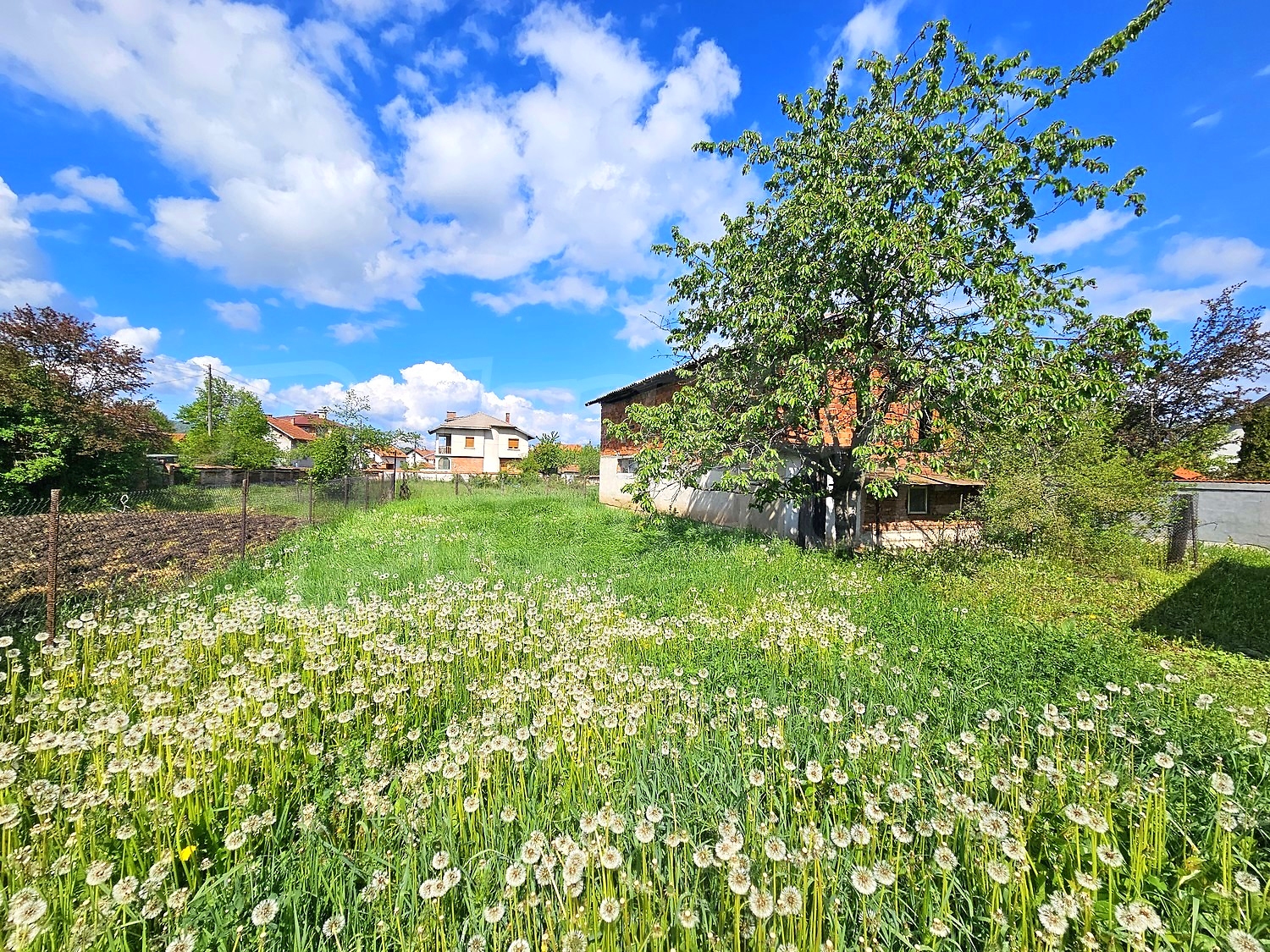 outside, garden, green area