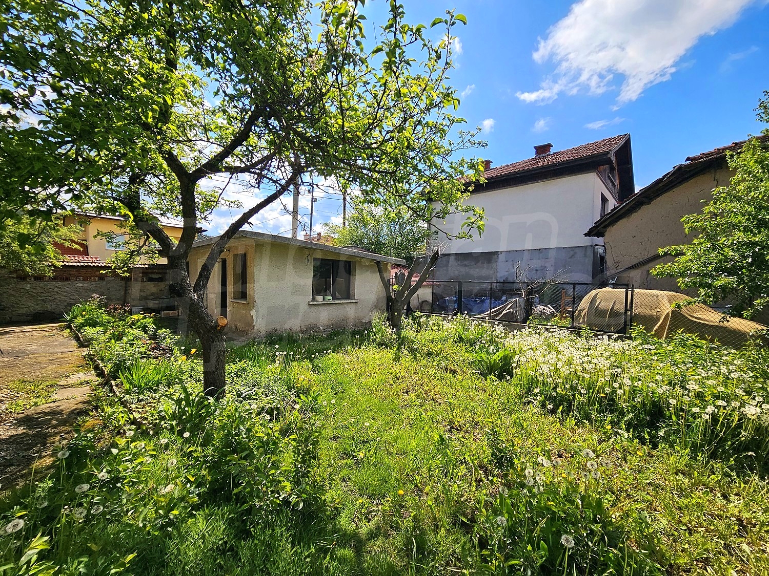 outside, garden