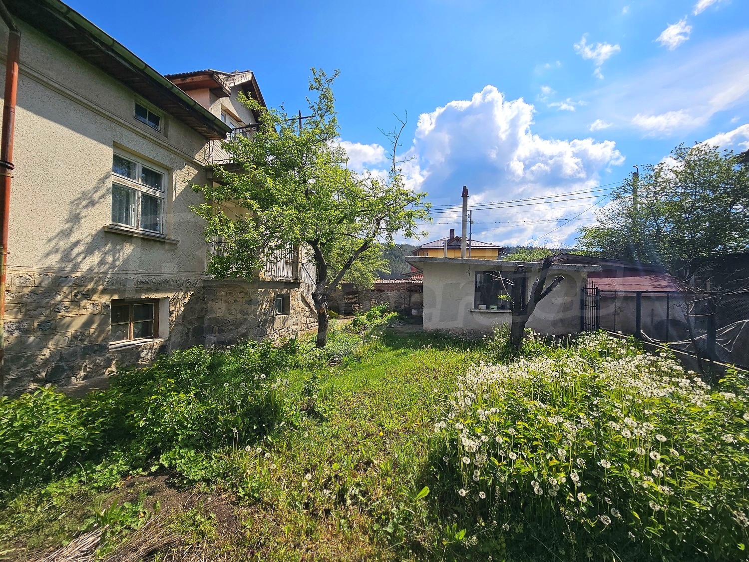 outside, garden