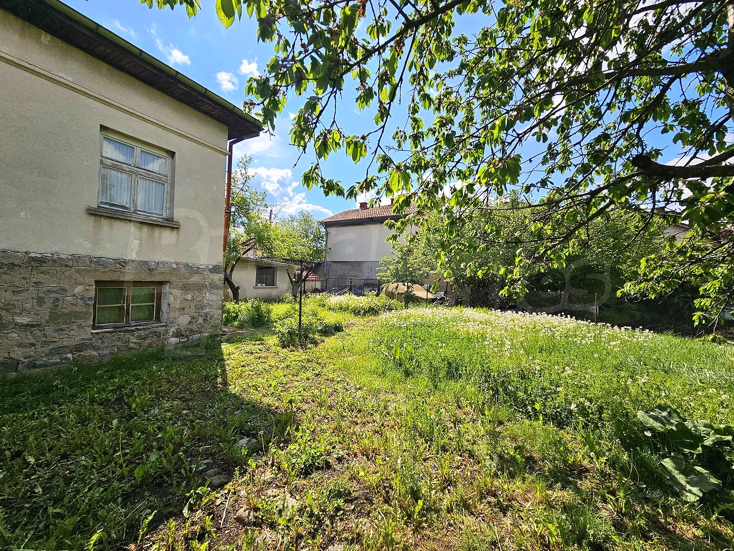 outside, garden