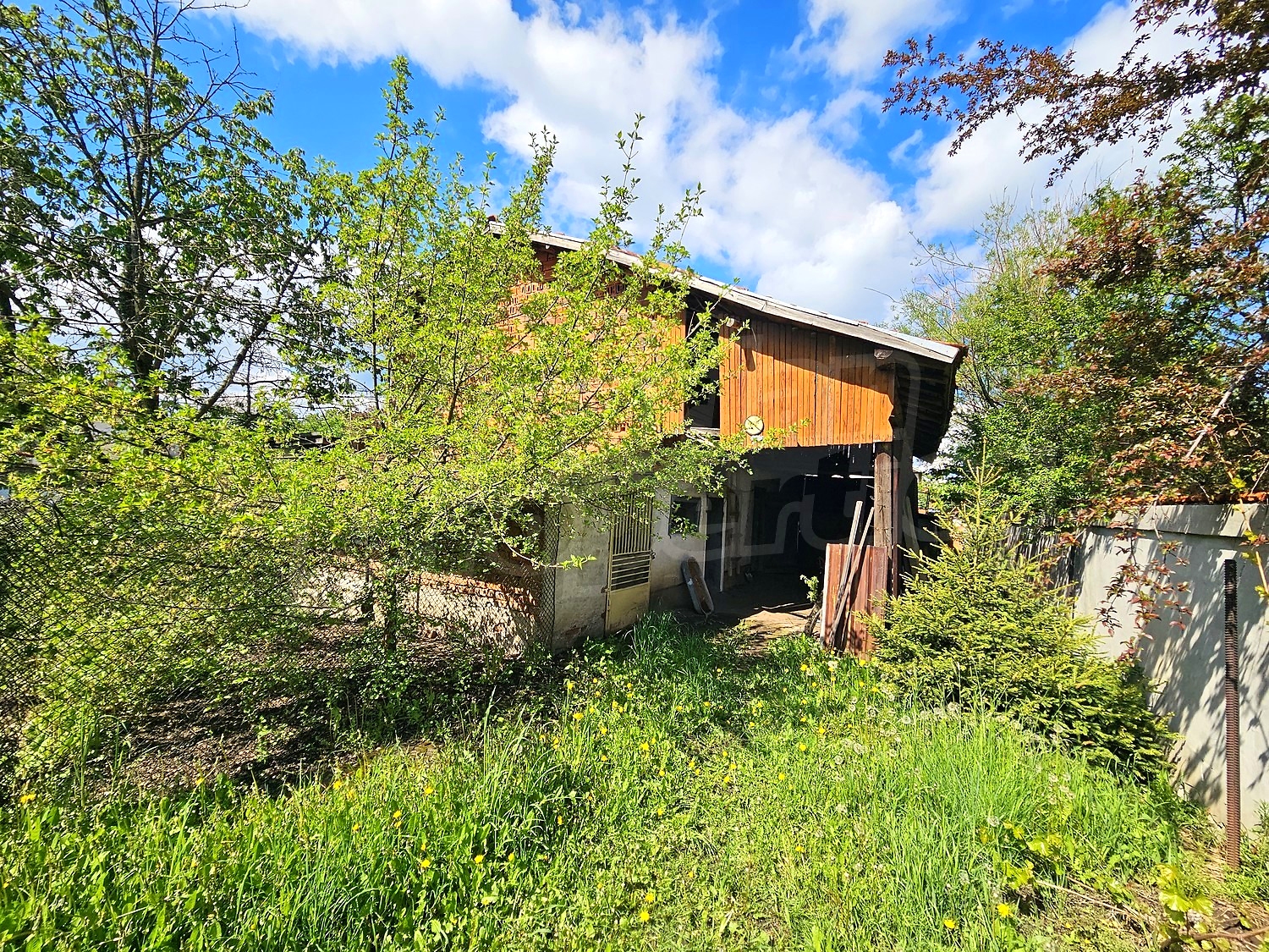 outside, garden