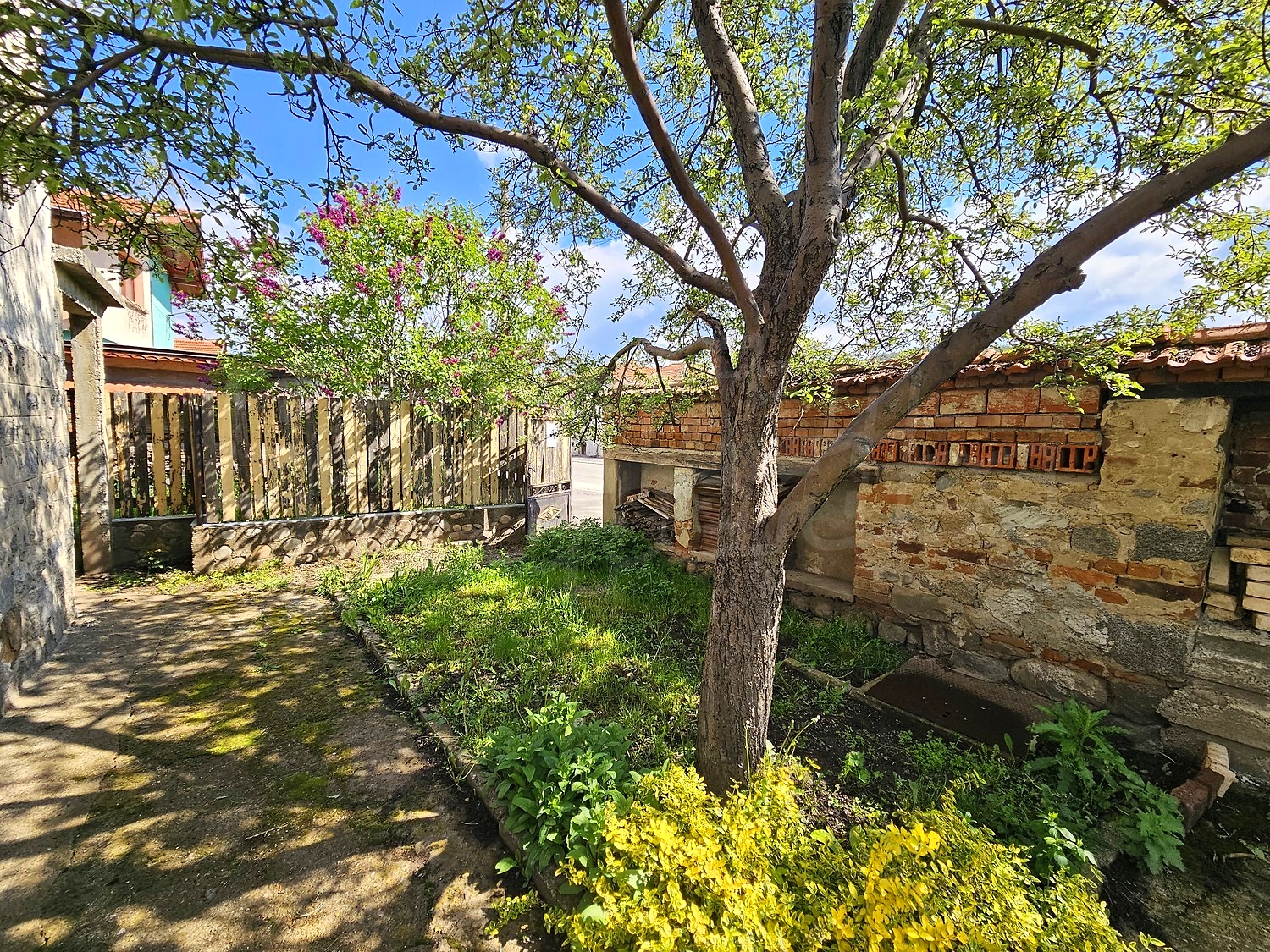 garden, outside