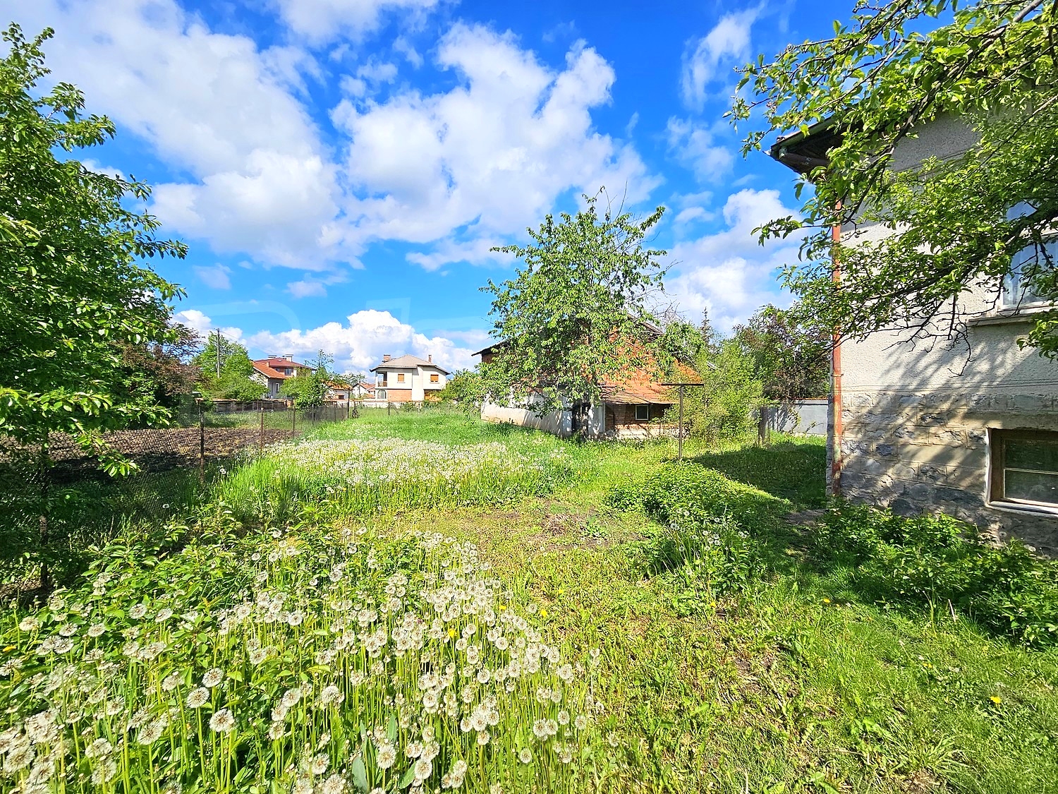 outside, garden, green area