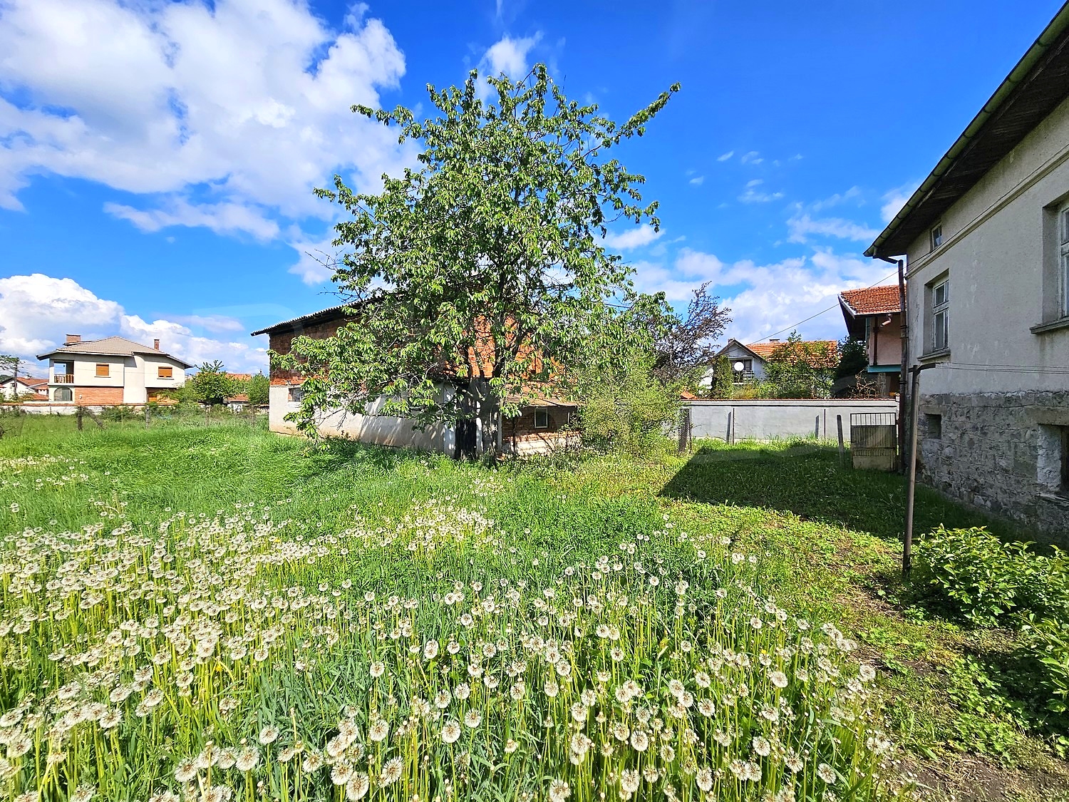 outside, garden, green area