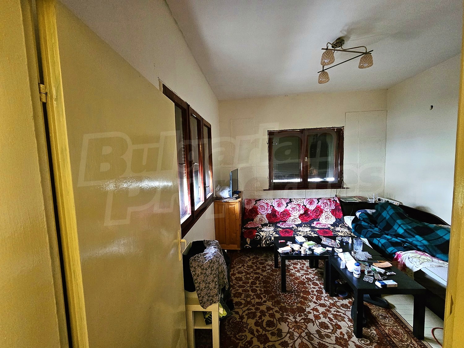 Gallery Picture 35