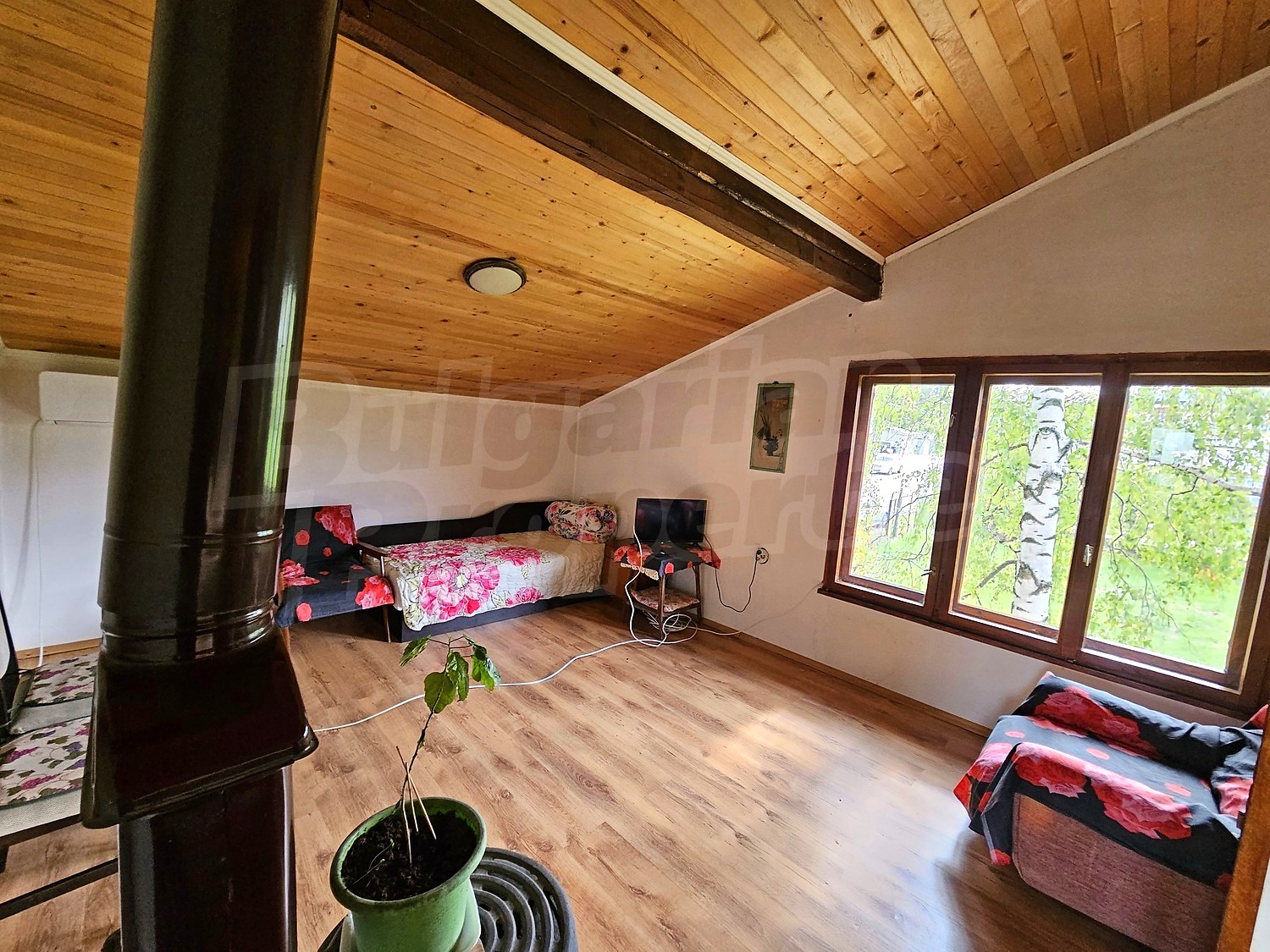 Gallery Picture 19