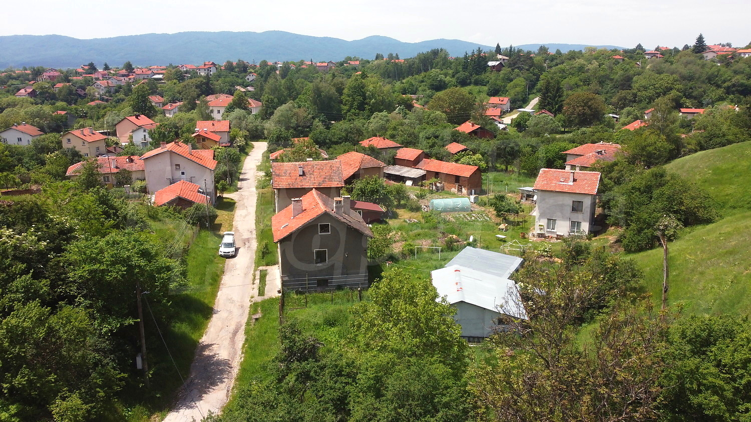 Gallery Picture 43
