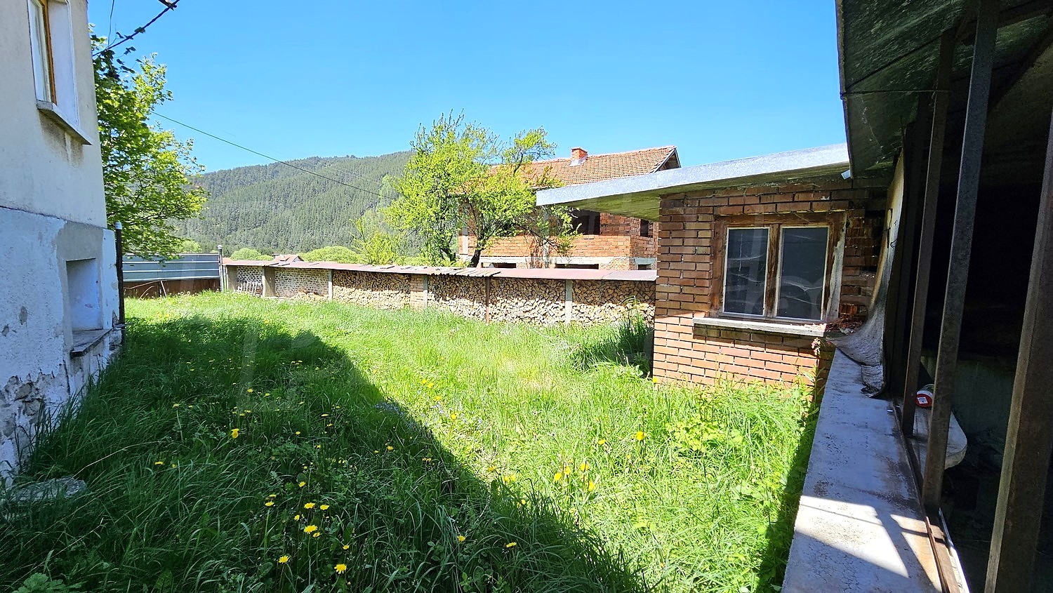 outside, garden, green area
