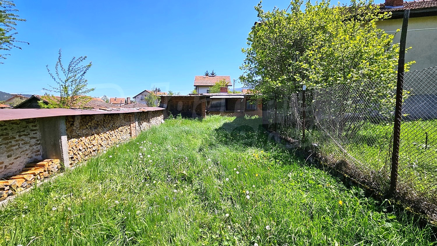 outside, garden
