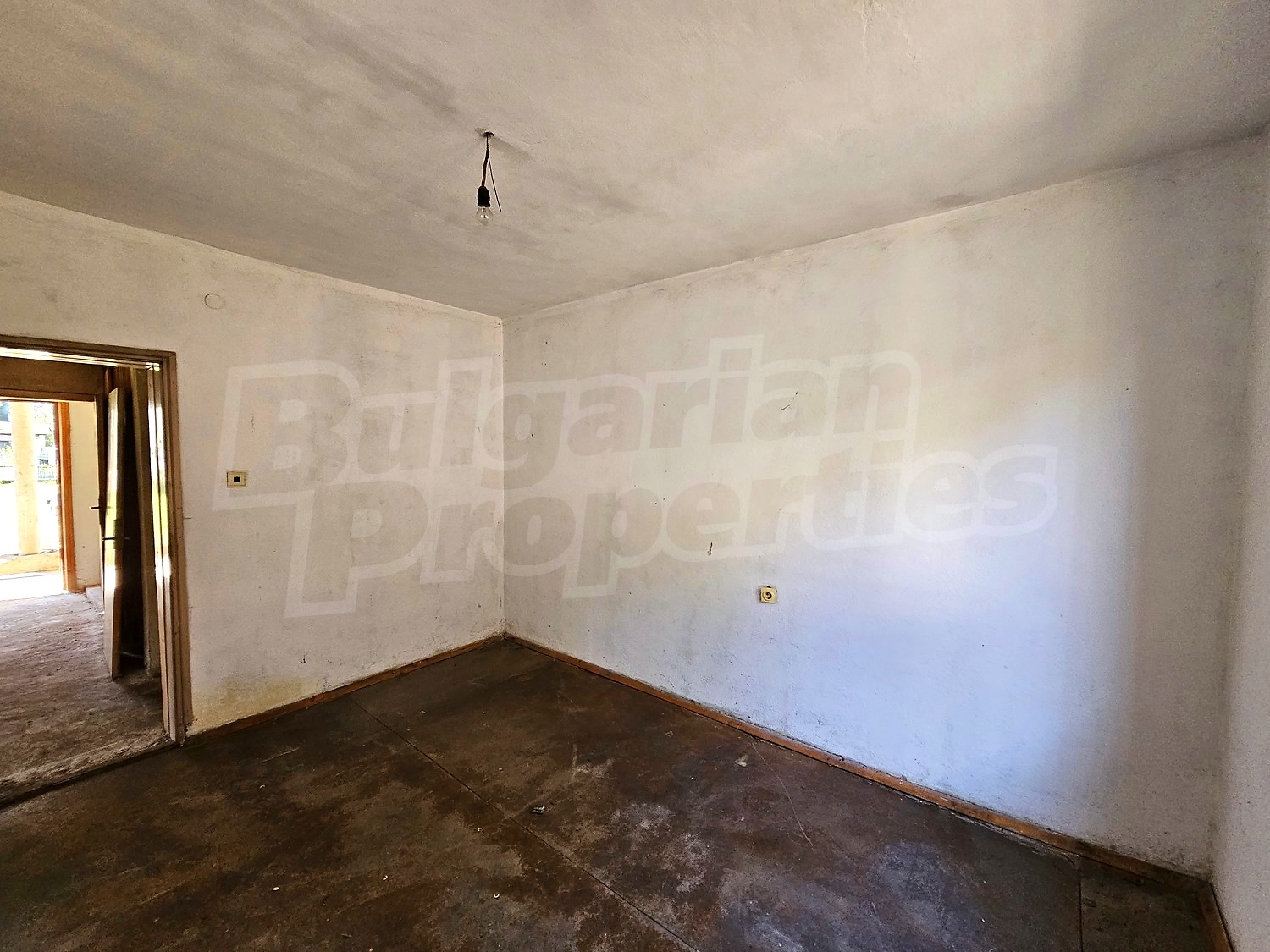 Gallery Picture 15