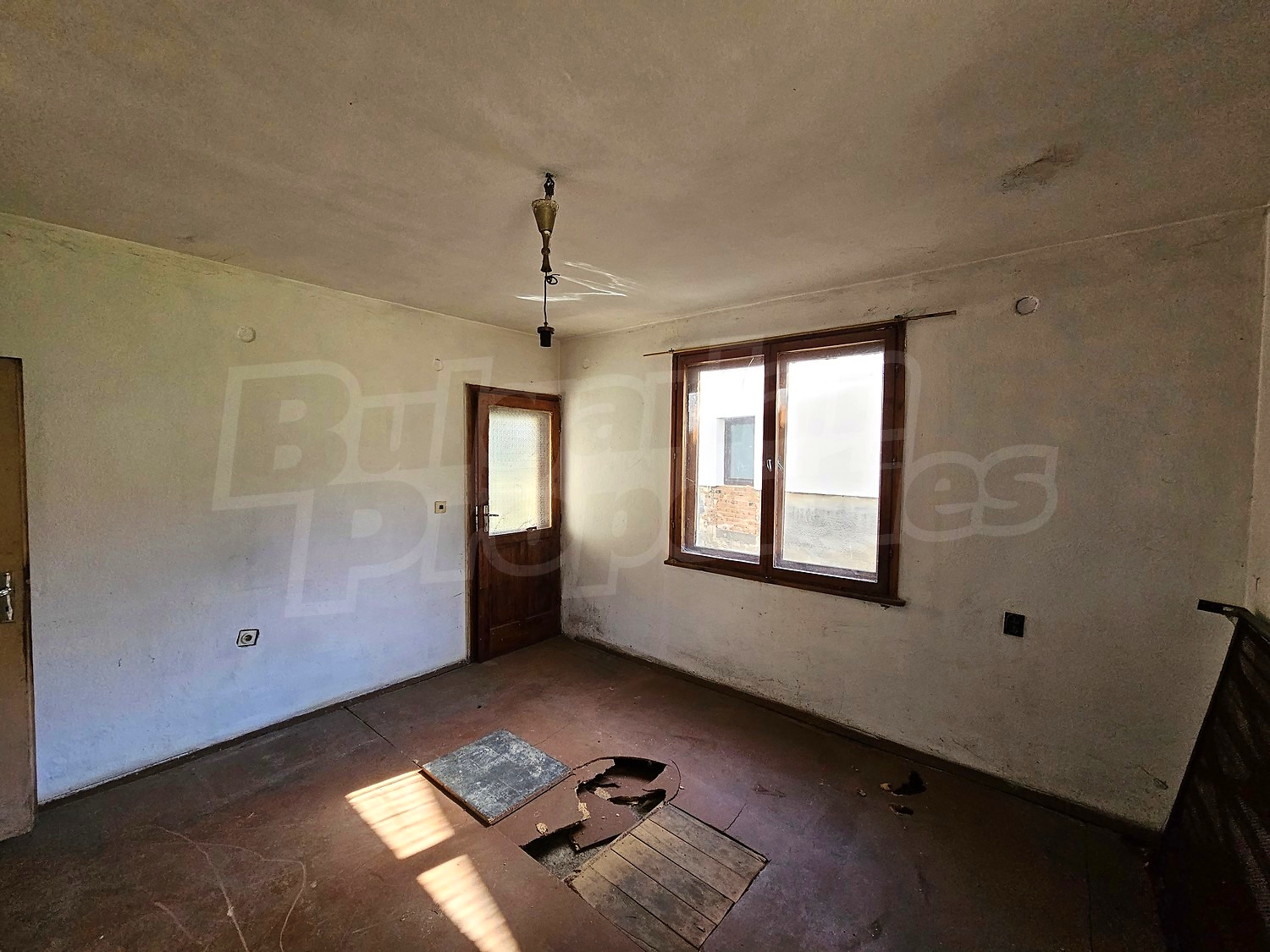 Gallery Picture 12
