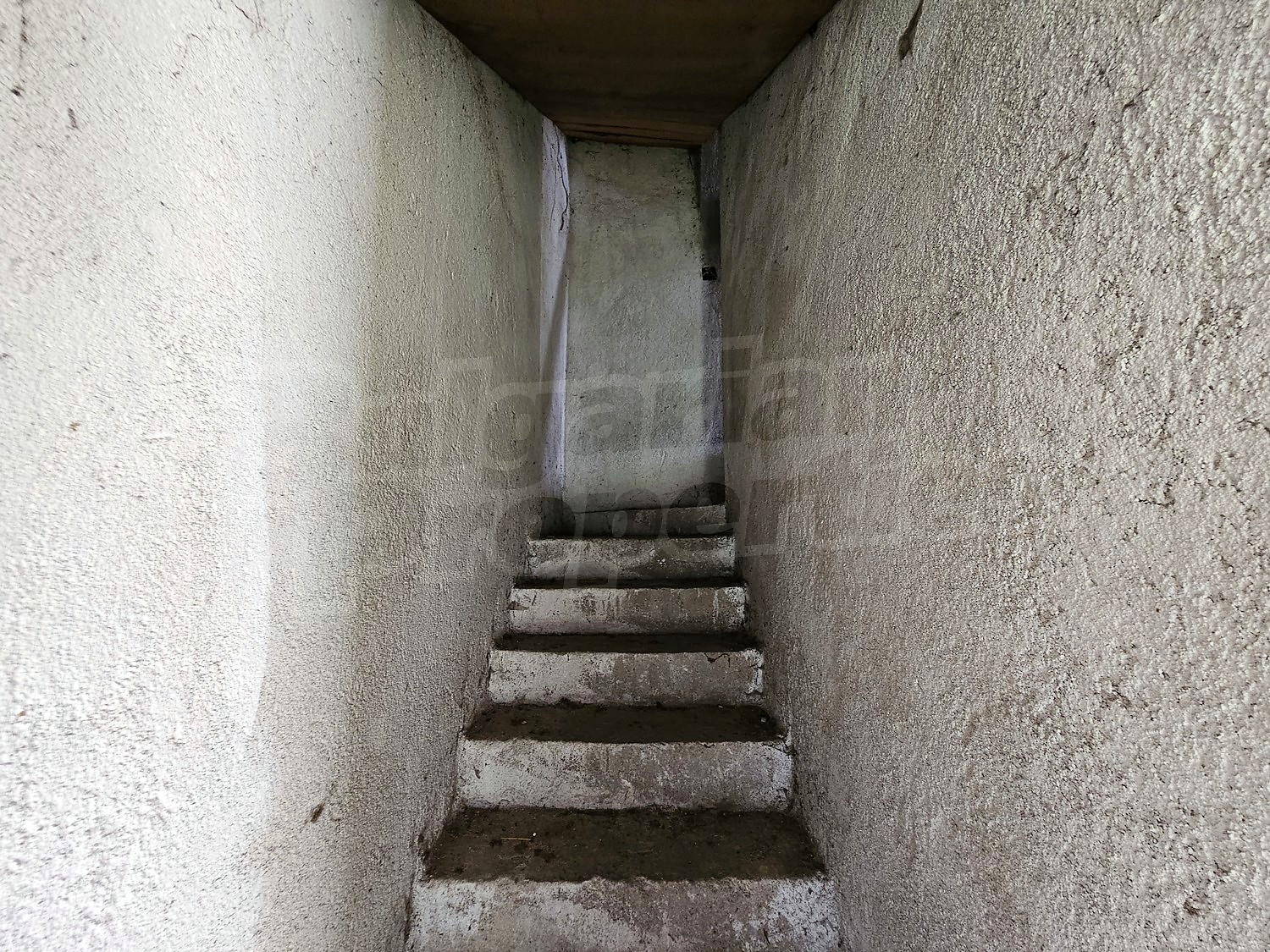 Gallery Picture 19
