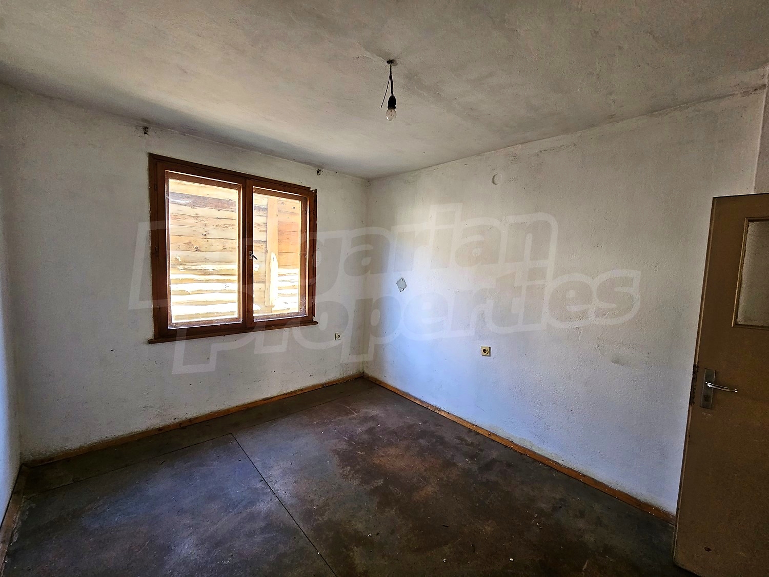 Gallery Picture 14