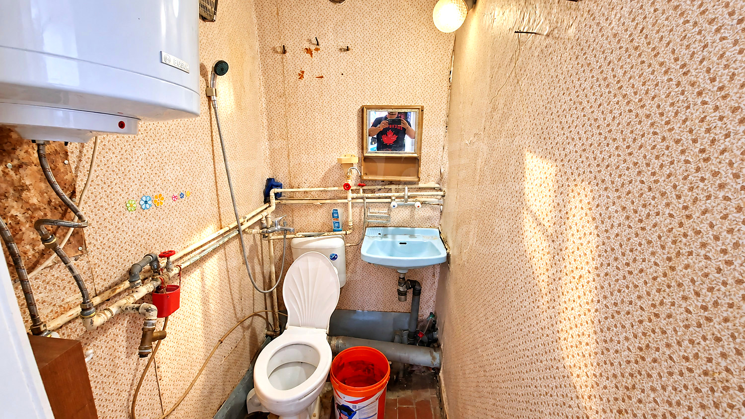 Gallery Picture 9