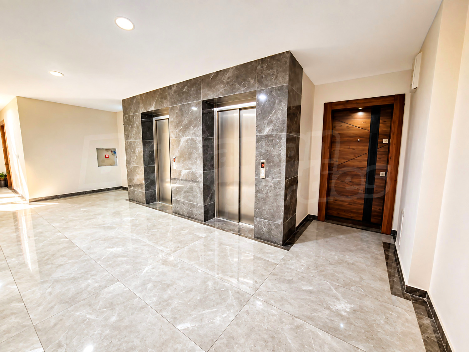 Gallery Picture 5