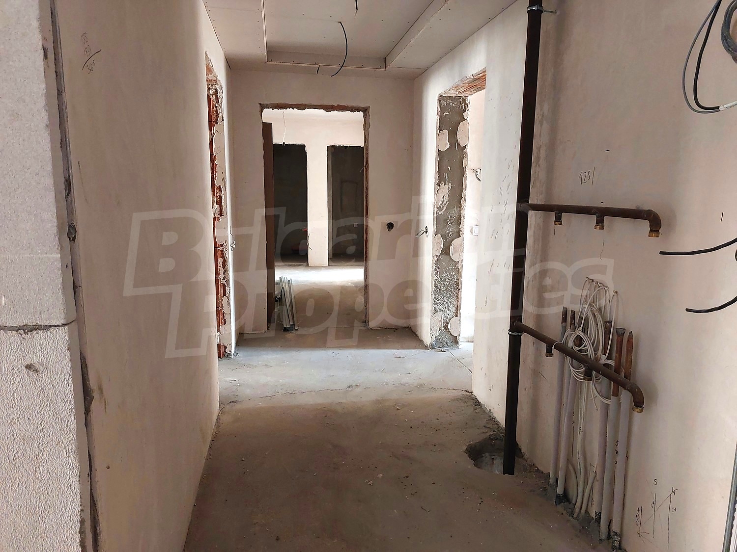 Gallery Picture 19