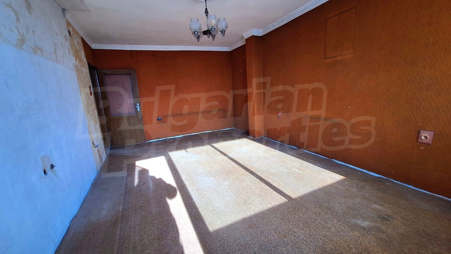 Gallery Picture 3