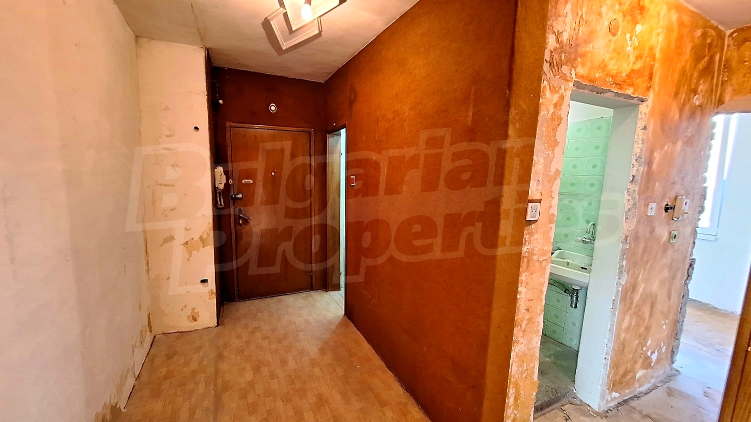 Gallery Picture 4