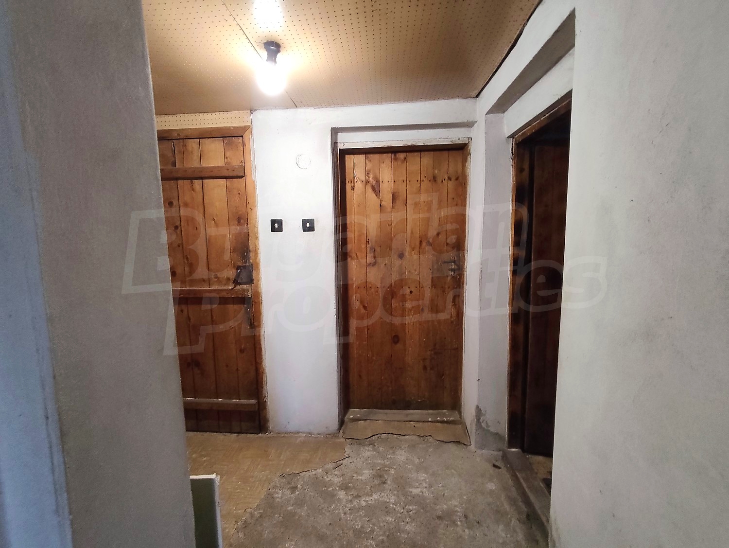 Gallery Picture 61