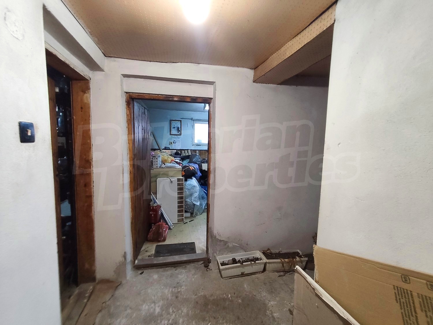 Gallery Picture 57