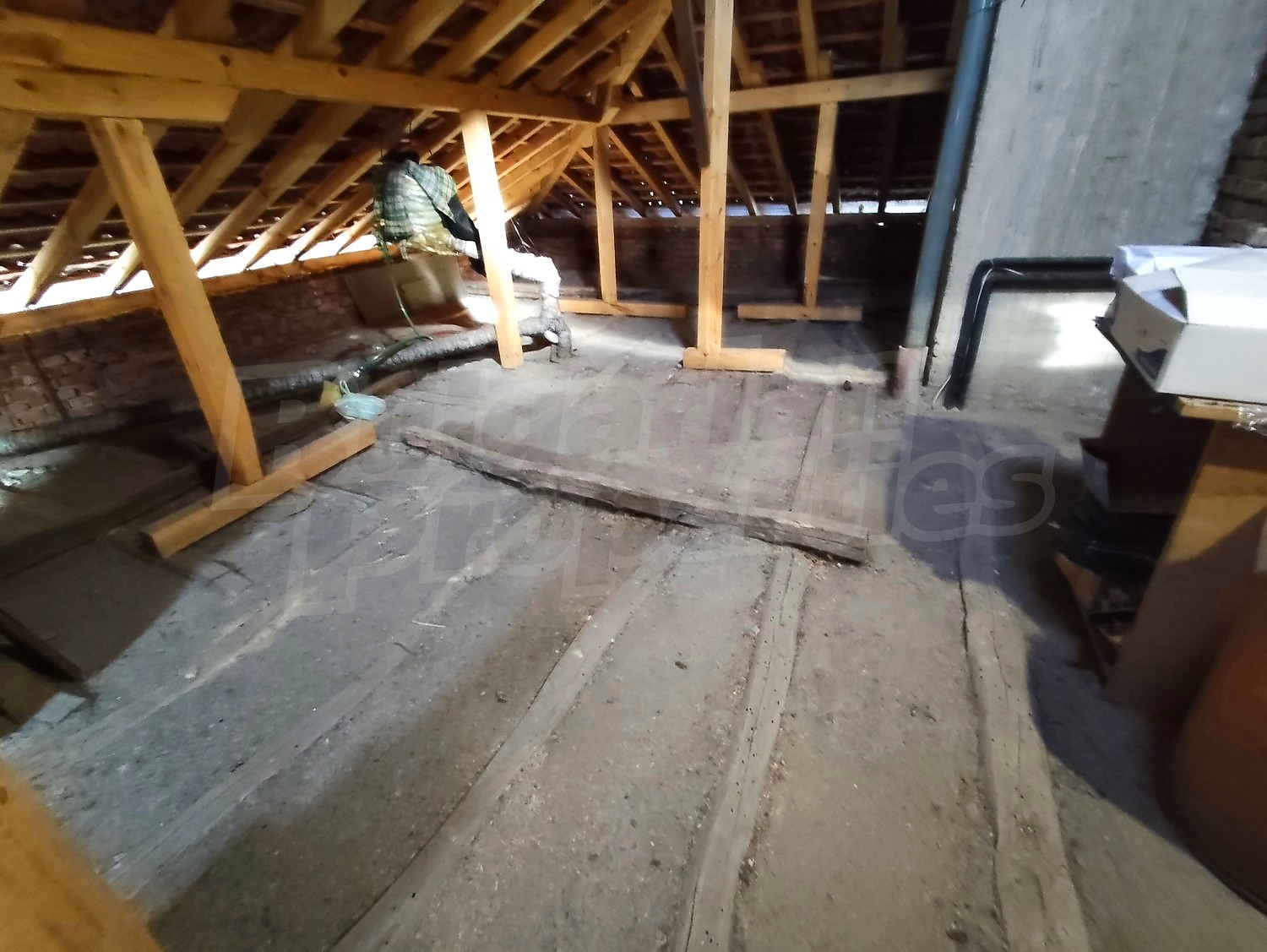 Gallery Picture 35