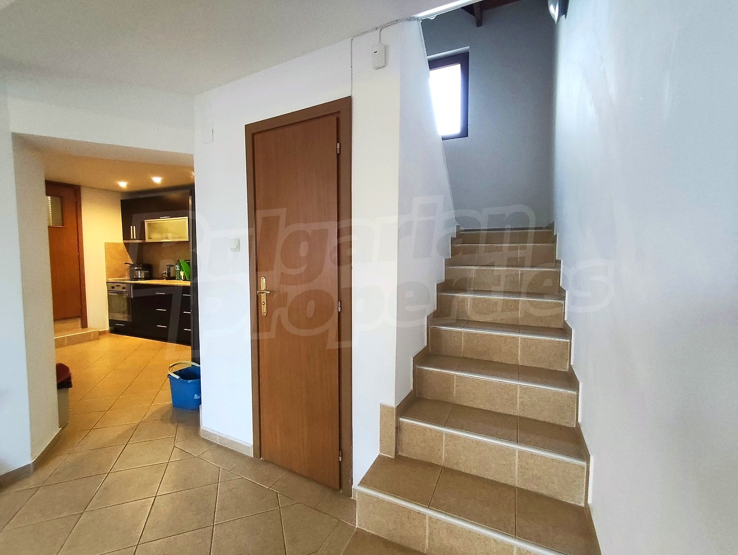 Gallery Picture 28