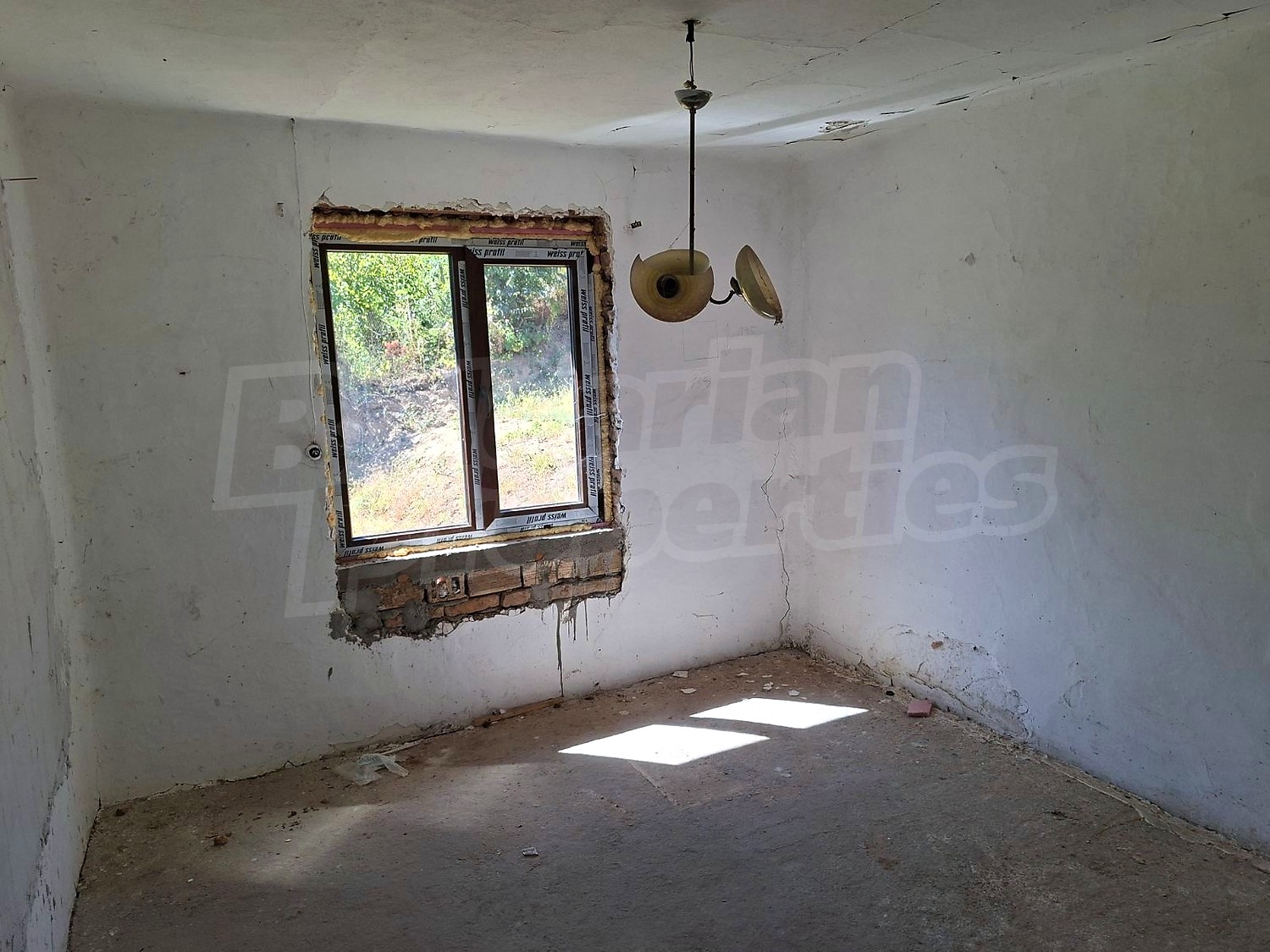 Gallery Picture 6
