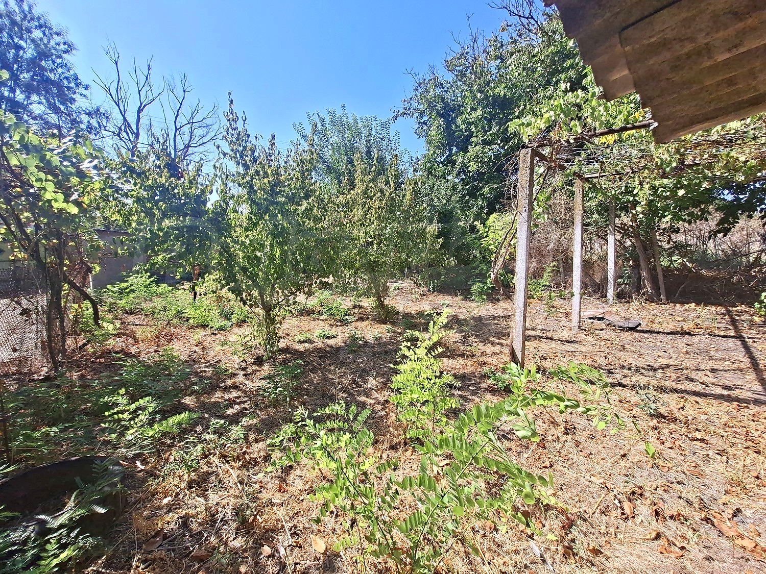 Gallery Picture 5