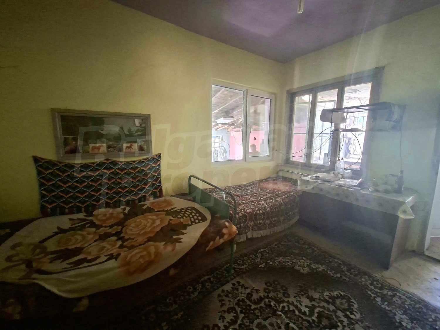 Gallery Picture 17