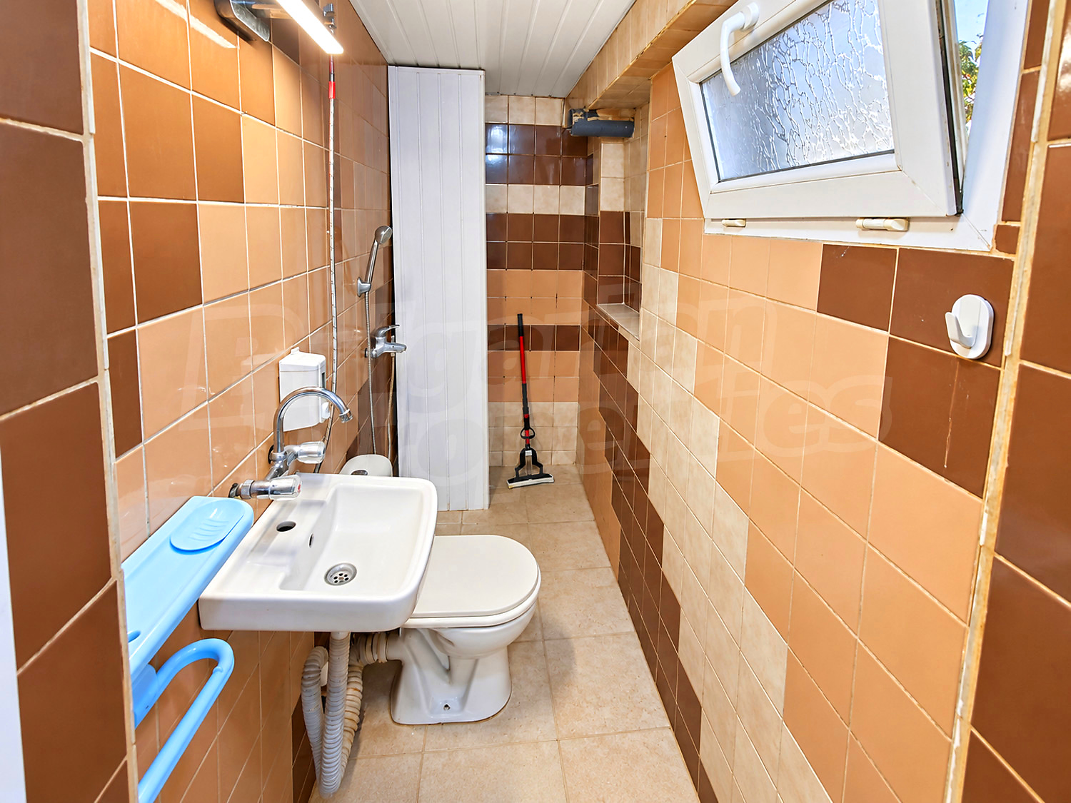 Gallery Picture 17
