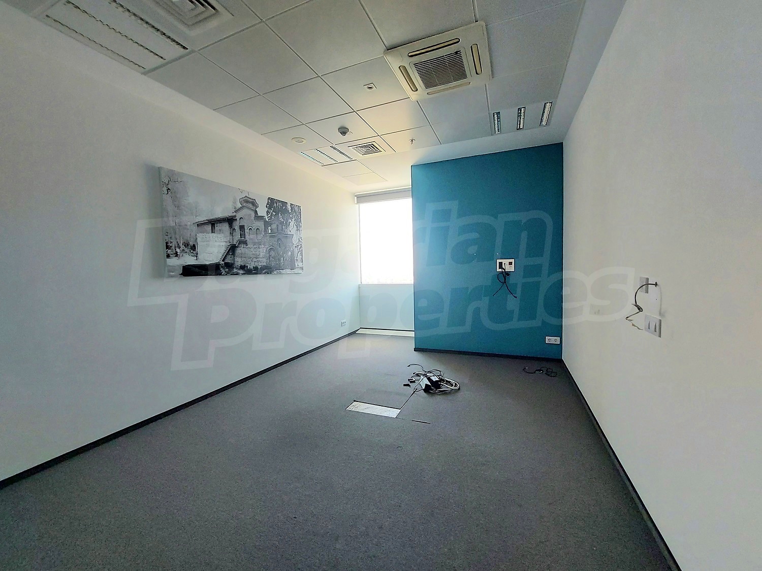 Gallery Picture 14