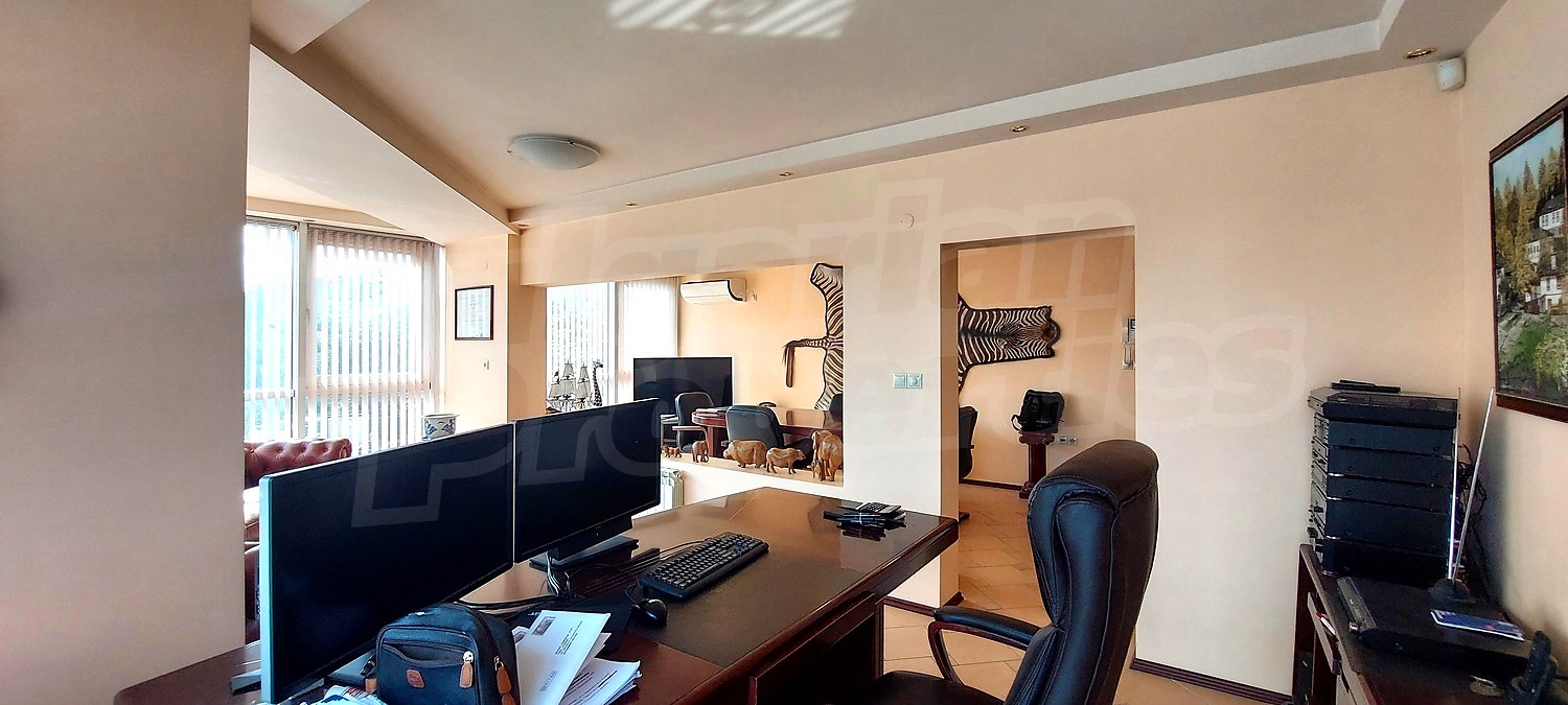 Gallery Picture 16