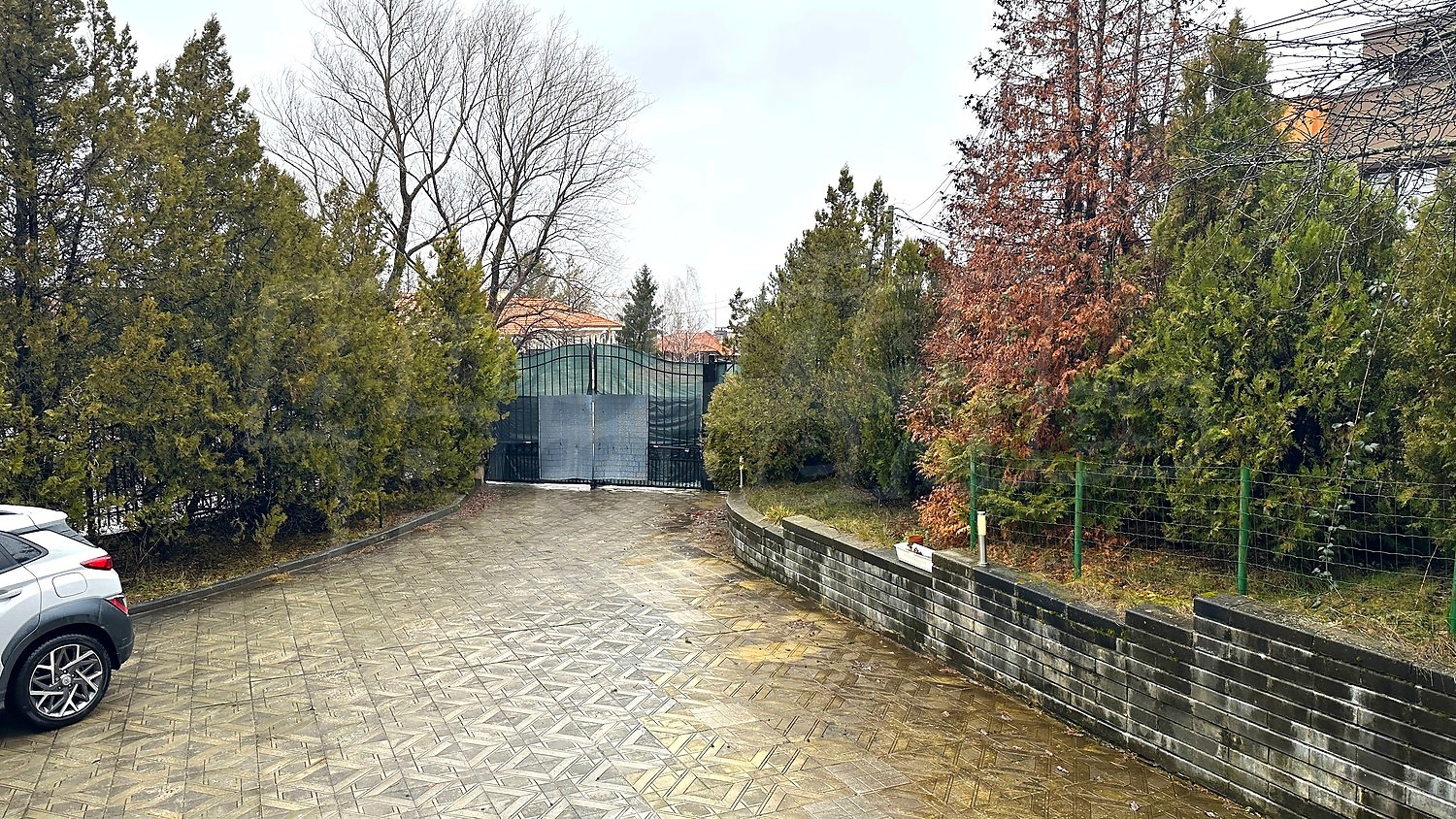 Gallery Picture 29