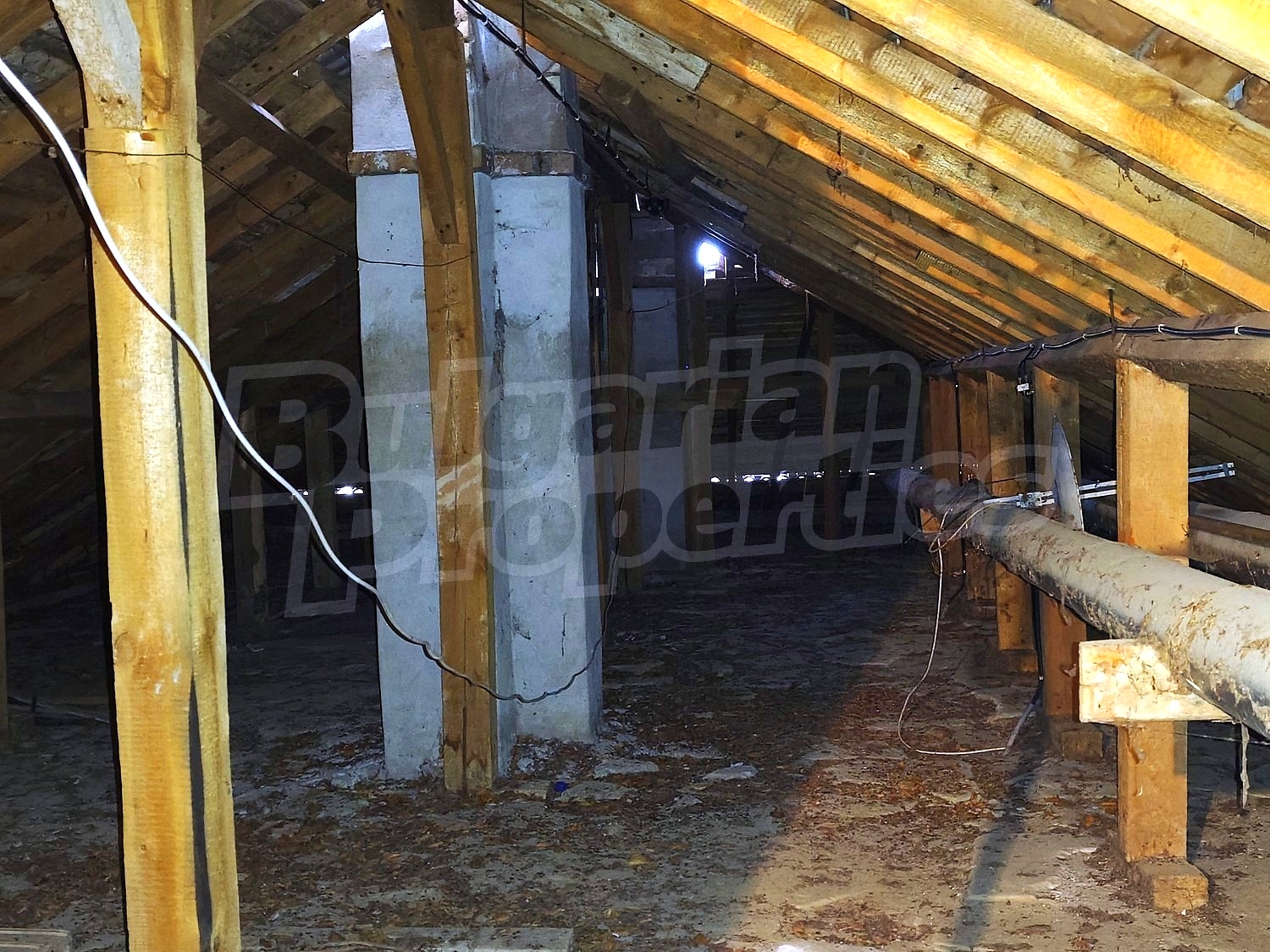 Gallery Picture 36