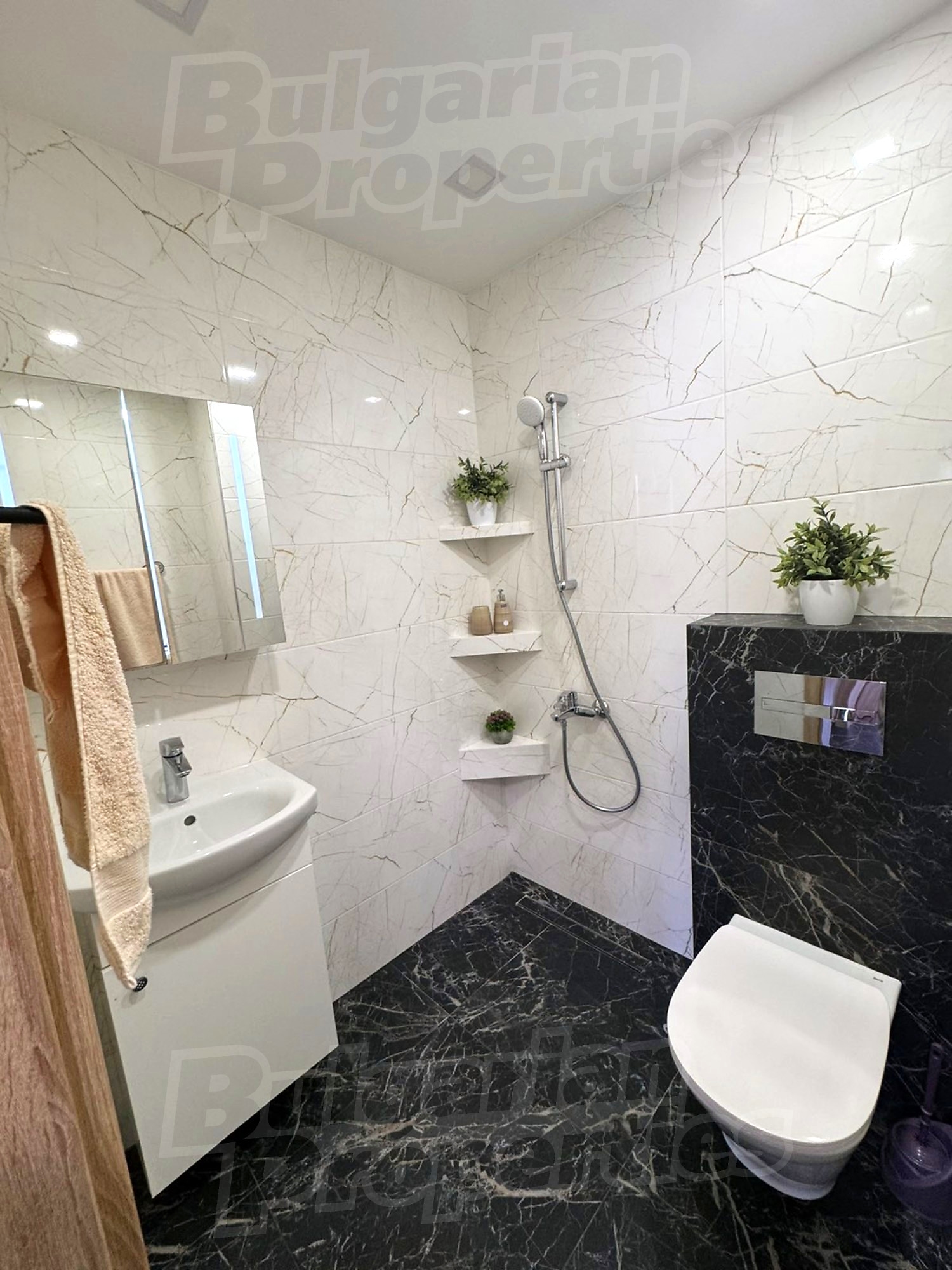 Gallery Picture 18