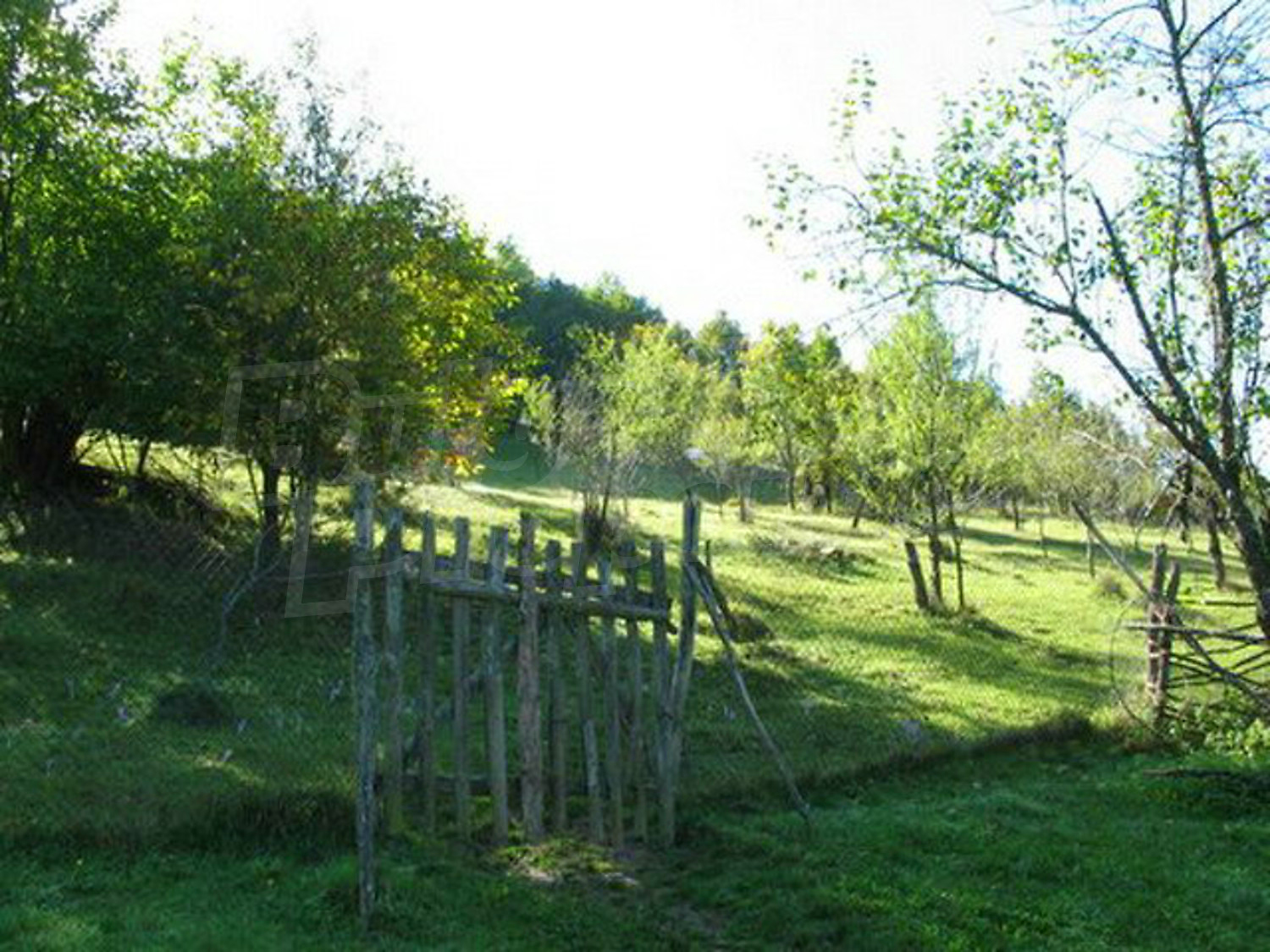 Gallery Picture 19