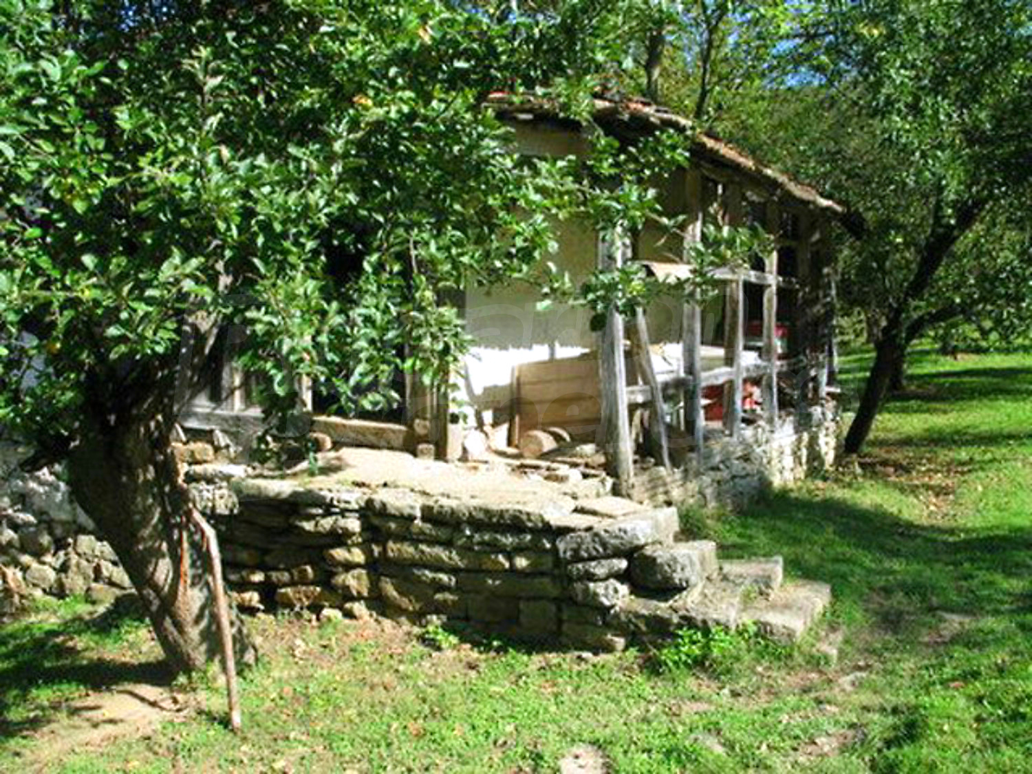 Gallery Picture 6