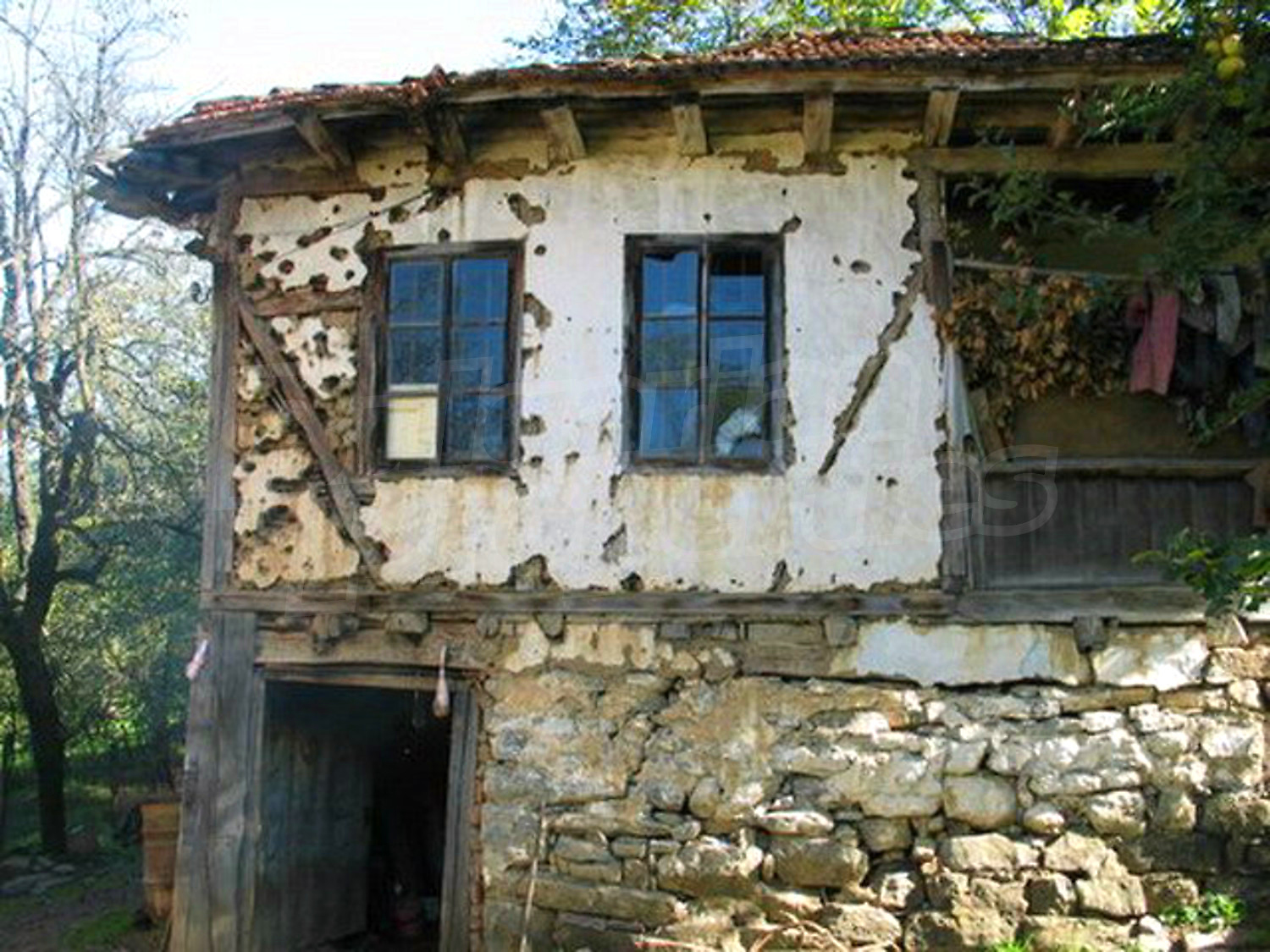 Gallery Picture 7