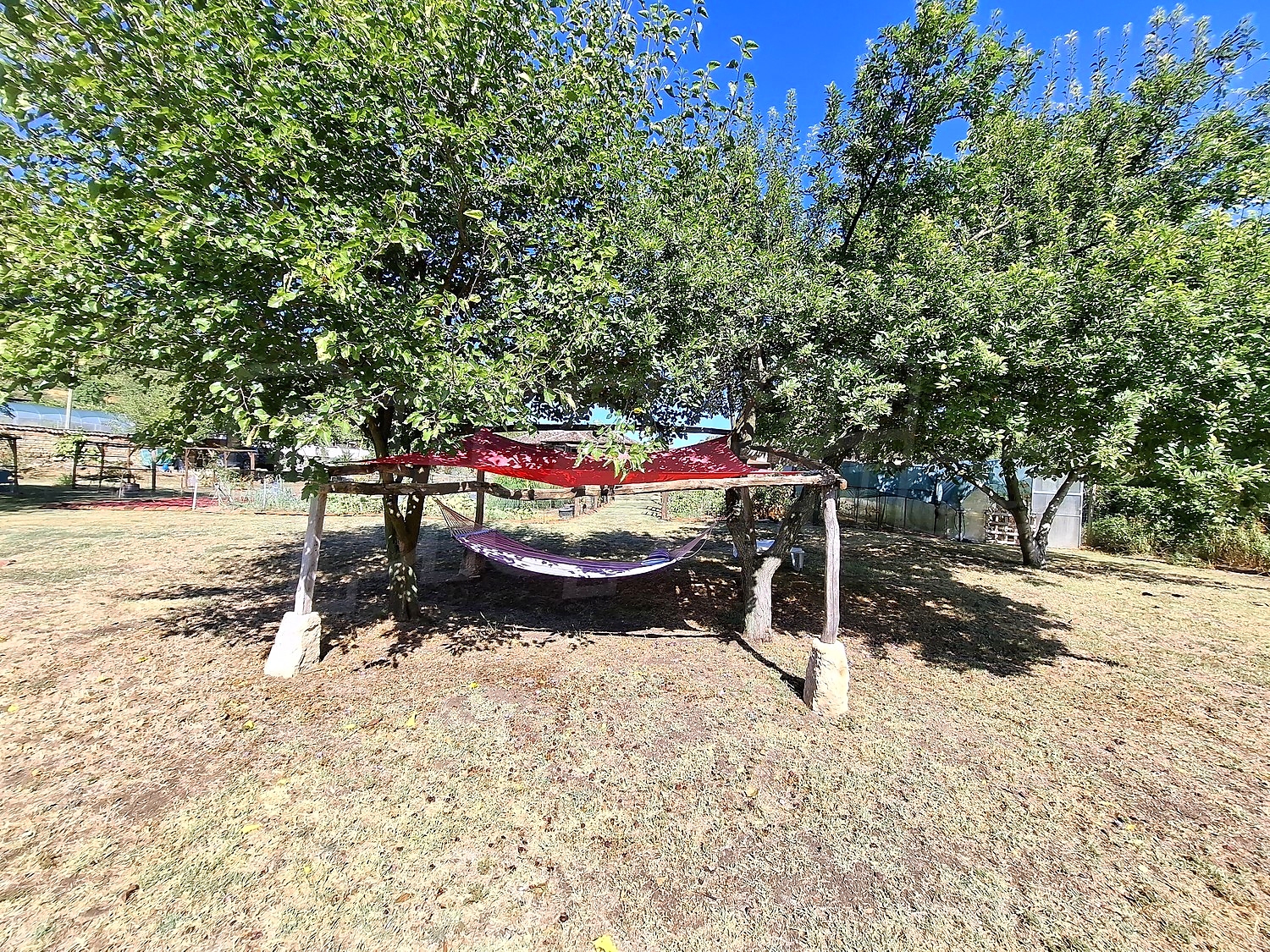 Gallery Picture 56