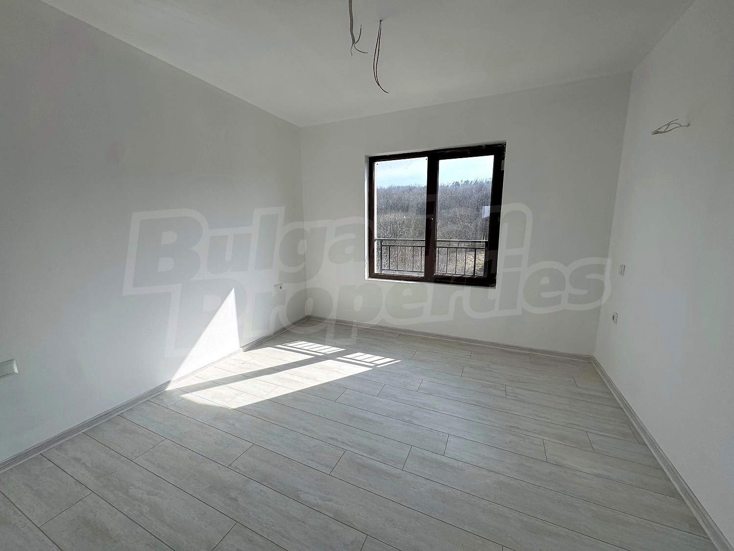 Gallery Picture 6