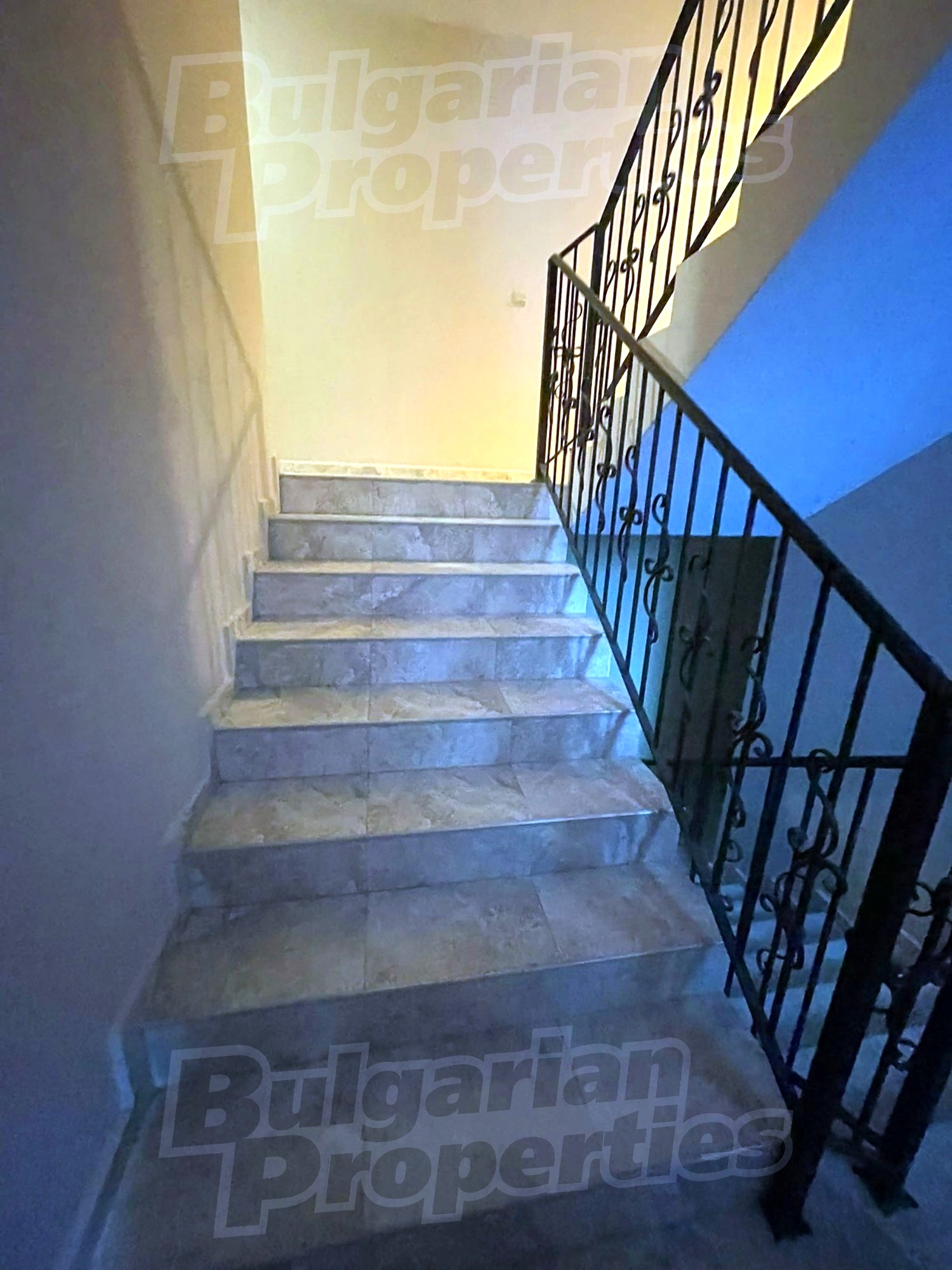 Gallery Picture 27