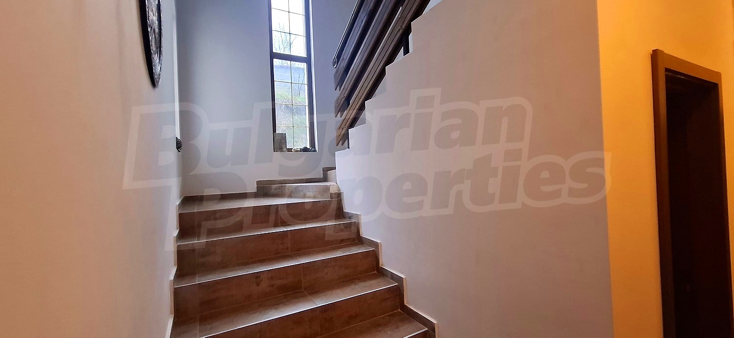 Gallery Picture 18